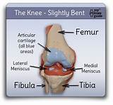 Images of Allograft Acl Recovery Timeline