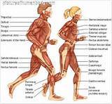 Core Muscles Used In Running Photos