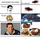 Pictures of Cockroach Meme