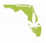 Photos of Growing Medical Marijuana In Florida