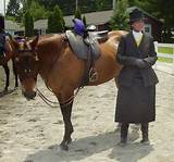 Photos of Riding Horse Classes