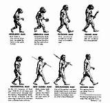 Theory Of Evolution Neanderthal Pictures