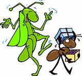 Story Of The Ant And The Grasshopper Images