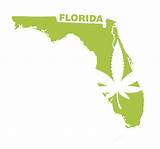 Legal Medical Weed In Florida Pictures