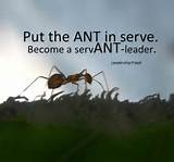 Photos of Ant Quotes