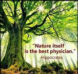 Pictures of Quotes About Holistic Medicine