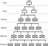 Us Military Unit Sizes Pictures