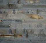 Pictures of Wood Planks Elephant