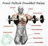 Deltoid Workout Exercises Pictures