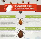 Professional Heat Treatment For Bed Bugs
