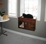 Images of Diy Cat Window Shelf