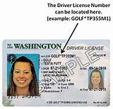 Truck Driver License Florida Photos
