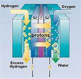Hydrogen Fuel Cell