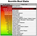 Photos of Heat Index Units