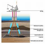 How Is Oil Crude Formed Pictures