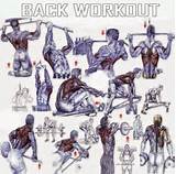 Back Muscle Exercises Images
