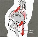 Images of Pelvic Muscle Strengthening