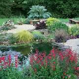 Natural Backyard Landscaping Ideas Images