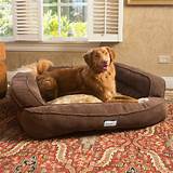 Cheap Dog Beds For Large Dogs Pictures