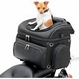 Motorcycle Pet Carrier Pictures
