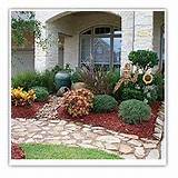 Photos of Front Yard Landscaping Houston