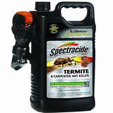 Pictures of Orange Termite Spray