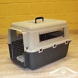 Pet Carrier Agency Pictures