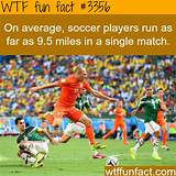 Facts Of Soccer Images