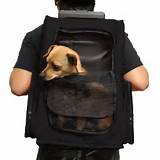 Pictures of Oxgord Pet Carrier