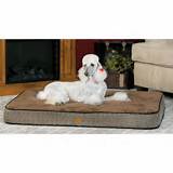 Pictures of Pet Dog Beds Sale