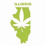 Medical Cannabis Doctors In Illinois Photos