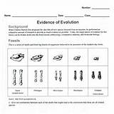 Pictures of Chapter 15 Darwins Theory Of Evolution Answers