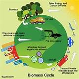 Photos of Biomass To Electrical Energy Conversion
