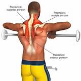 Neck Muscle Strengthening Photos