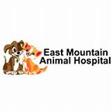 Mountain Animal Hospital