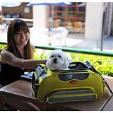 Photos of Pet Travel Carriers Small Dogs