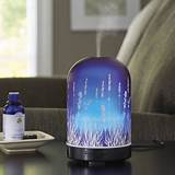 Pictures of Electric Diffuser Walmart