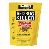 Bed Bug Treatment Home Depot Pictures