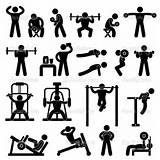 Pictures of Weight Training Equipment List