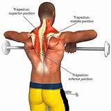 Shoulder Muscle Exercises Pictures