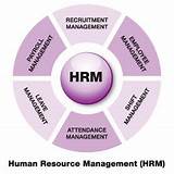 Pictures of Payroll Management In Hrm