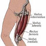 Vastus Medialis Obliquus Muscle Exercises Photos