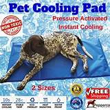 Pet Cooling Pad Photos