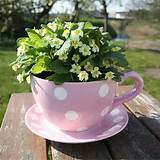Pictures of Teacup Flower Planter
