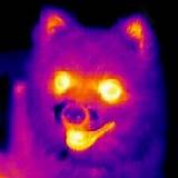 Images of Infrared Heat Radiation