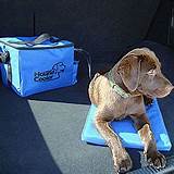 Cooling Pet Bed Pictures