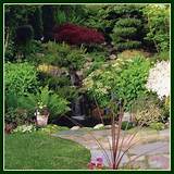 Pacific Northwest Lawn Care Schedule Pictures