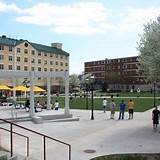 New Haven University Ranking Pictures