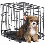 Tractor Supply Dog Crates Pictures