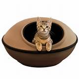 Pictures of K&h Heated Cat Beds